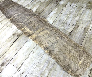 Gold tint on Burmese Python Genuine Snake Leather real hide snake skin boa 113 - Picture 1 of 5