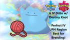 Pokemon Sword Shield 6IV Shiny Japan Ditto w/ Destiny Knot Best for Breeding!!!