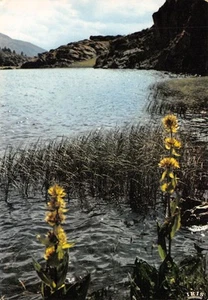 66-LA CERDAGNE LES LACS DU CARLITTE-N�T2776-B/0343 - Imagen 1 de 2