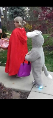 Disfraz Halloween Caperucita Roja y Lobo Talla 6 y 2 Niño Niña Hermano   Foto 1 de 3