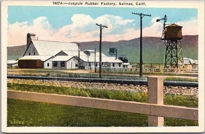 c1920s SALINAS, California Postcard "Juyule Rubber Factory" Kashower / Unused - Picture 1 of 2