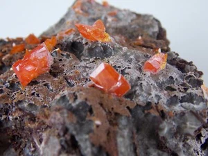 CRISTALES DE WULFENITA - 8,7 cm - Grande - MINA GERONIMO DEL NORTE, ARIZONA 29385 - Imagen 1 de 8