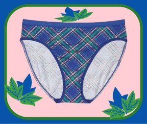 M L XL XXL Blue Green Plaid Cotton Victorias Secret HighLeg Waist Brief Pantie - Picture 1 of 12