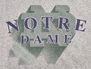 Camicia VINTAGE Notre Dame College Uomo Medium Hammes Libreria Irlandese Adulto A08 - Foto 1 di 8