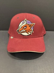 Zephyr Authentic Arizona Coyotes 7 1/2 Hat NHL Wool 35% Vtg Alternate Logo - Picture 1 of 5