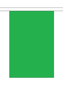 Plain Green Bunting 3m 10 Flags *SALE PRICE* - Picture 1 of 3