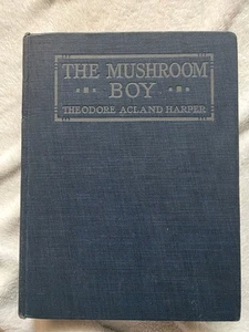 The Mushroom Boy/ Theodore Acland Harper/ 1st Edition 1924 - Foto 1 di 14