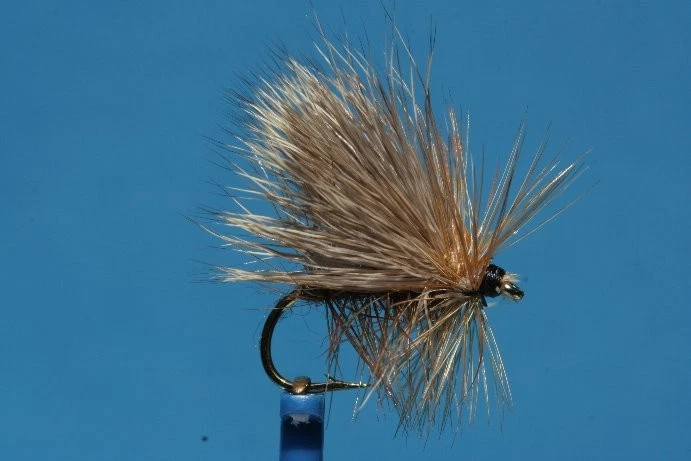 Rehhaarsedge - Bild 1 von 1