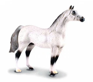 NEW CollectA 88097 Arabian Stallion Horse Dapple Grey 14cm long - RETIRED - Picture 1 of 1