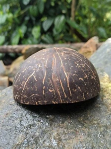Coconut shell bowl coconut shell cup 100% organic polished and finished - Picture 1 of 4