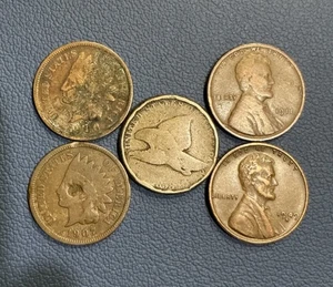 Penny Collection - Flying Eagle Cent, Indian And Wheat Cents - Nice Lot - Picture 1 of 2
