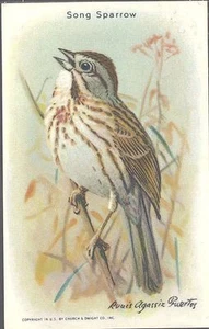 Church & Dwight - Useful Birds of America, 9. Serie - 12 - Song Sparrow - Bild 1 von 1