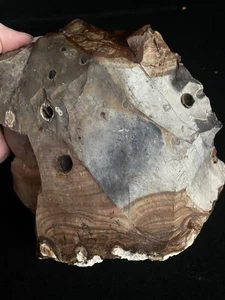 Imagen lapidaria de jaspe azul Biggs de 8 lb áspera de Biggs, Oregon - Imagen 1 de 4