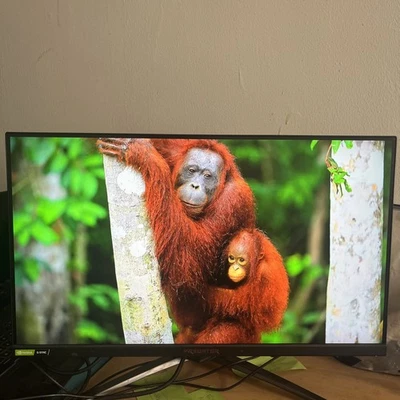 Acer Predator XB253Q 24" Zoll 165Hz Gaming LCD Monitor - Bild 1 von 4