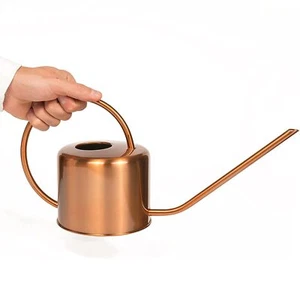 Homarden 60oz Stainless Steel Watering Can with Long Spout for Indoor & Outdoor - Picture 1 of 6