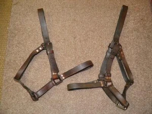 Pair Of Antique Military Railway Heavy/Draft Horse English Leather Head Collars - Picture 1 of 12
