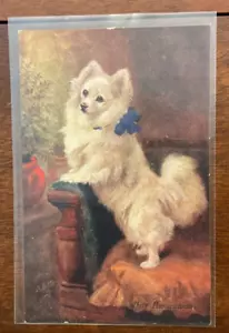 Antique Postcard white Pomeranian Dog c1910, Tucks made in England, nice - Picture 1 of 2