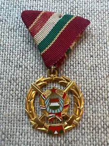 Hungría: rara medalla de hermanos de armas del pacto húngaro de Varsovia clase de oro - Imagen 1 de 3