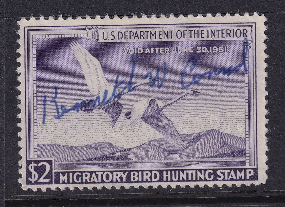 1950 Federal Migratory Bird Hunting Sc RW17 usado único trompetista cisnes (1G - Imagem 1 de 1