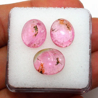 3 Stück Natürliche Wassermelone Turmalin Unbehandelt 12 mm - 12,8 mm Oval Cab... - Bild 1 von 4