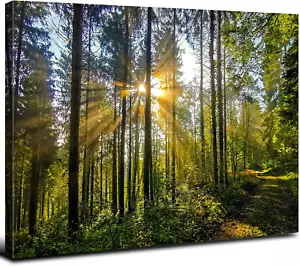 Nature Forest Canvas Wall Art Sunset Pictures Wall Decor Green Trees Landscape D - Picture 1 of 6
