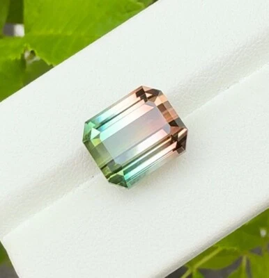 11.50ct  Mind Blowing 100% Natural Bi Color Tourmaline Lot No:an - Image 1 of 4