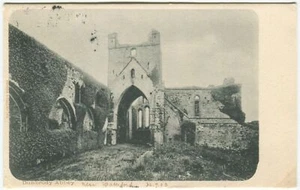 DUNBRODY ABBEY- Co Wexford Postcard (P5315) - Picture 1 of 2