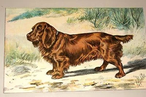 LE SUSSEX SPANIEL MAHLER AQUARELLE MANUFRANCE 1907 - Picture 1 of 1
