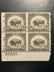 US STAMP SCOTT # 700 PLATE BLOCK MNH OG SEE IMAGES!  BUFFALO 30c RV ~ $165.00 - Picture 1 of 4