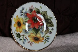 Vintage Queen's by Staffordshire Fine Bone China Untertasse lebendige Blumen - Bild 1 von 12