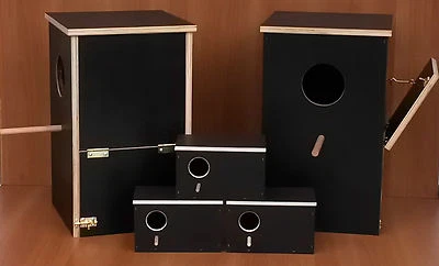 Sittich Wellensittich Nistkasten Mulde Papageien Papagei Nymphensittich Klappe - Bild 1 von 4