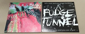Póster plano promocional de 2 caras FUDGE TUNNEL Creep Diets 12x12 (de colección años 90) - Imagen 1 de 3
