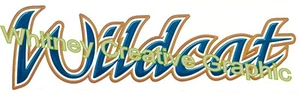 Wildcat RV Logo 32.5" X 8.5" RV Trailer Graphic Decal Camper Vinyl MADE FRESH! - Picture 1 of 1