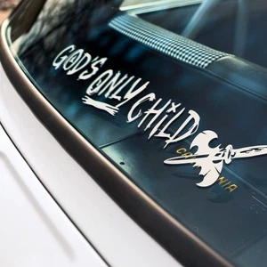 2x God's Only Child Wayne Chaos Wild Card Why Serious Hahaha Car Sticker Decal - Bild 1 von 2