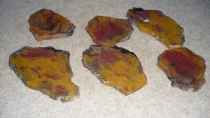 6 small Bright Red & Yellow Jasper rock slabs from Utah Dino Poop - Picture 1 of 4