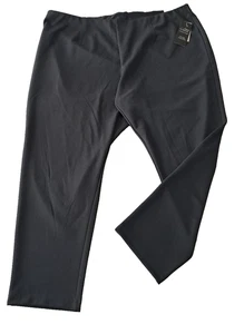 Neu mit Etikett 2X 22 24W Catherine's AnyWear schwarze Hose 29" Schrittlänge zum Überziehen Freizeit - Bild 1 von 6