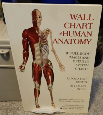 Wallchart of Human Anatomy: 3 D Full-Body Images, Detailed System - Image 1 of 3