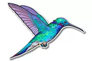 Hummingbird Colorful Car Laptop Phone Vinyl Sticker - SELECT SIZE - Picture 1 of 1