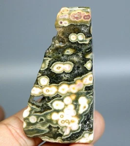 Natural Ocean Jasper Agate Eye Quartz Crystal Stone Slice Mineral Specimen - Picture 1 of 12