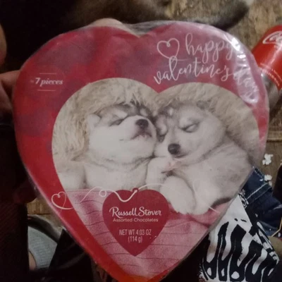 Elmer Chocolate 7  Pieces Chocolate Candy  assortments  - Image 1 of 2