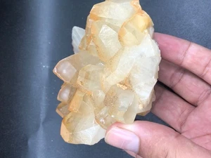 Exhibición de minerales de piedras preciosas naturales de calcita de dientes de perro de 436 g - Imagen 1 de 12