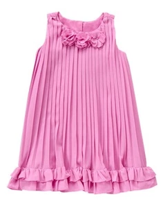 NWT Gymboree Family Brunch Pleated Chiffron Dress Toddler Girls Easter Wedding - Picture 1 of 1