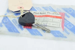 CHIAVE GREGGIA ACCENSIONE COMMUTATORE LANCIA Y ORIGINALE FIAT LANCIA 715981000 - Imagen 1 de 3
