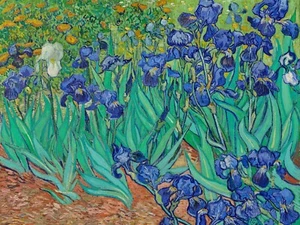 Iris (1889) por Vincent van Gogh Museo Giclee Impresión de Arte + Envío Gratuito - Imagen 1 de 3