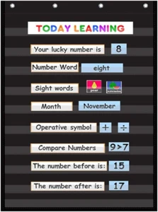 Standard Pocket Chart Clear 10 Pockets Chart for Classroom & Home Heavy Duty Han - Picture 1 of 12