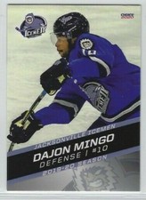 Dajon Mingo 2019-20 Jacksonville Icemen (ECHL) 