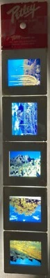 Arizona Color Slides Desert Scenes Vintage Petley Souvenir Set of 5 - Image 1 of 4