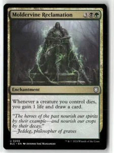 Moldervine Reclamation Bloomburrow Commander BLC Magic NM - Picture 1 of 1