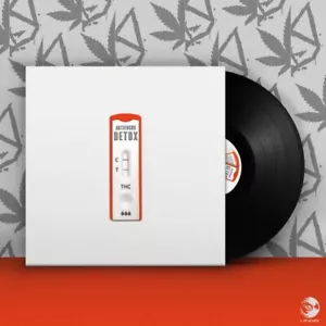 Antifuchs - Detox (Black Friday / RSD 2024) Vinyl 12" EP NEU 09556318 - Bild 1 von 1