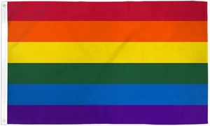 Regenbogen Flagge 5x8ft Poly LGBTQ Queer Large Parade Festival Rainbow Pride Flagge - Bild 1 von 3